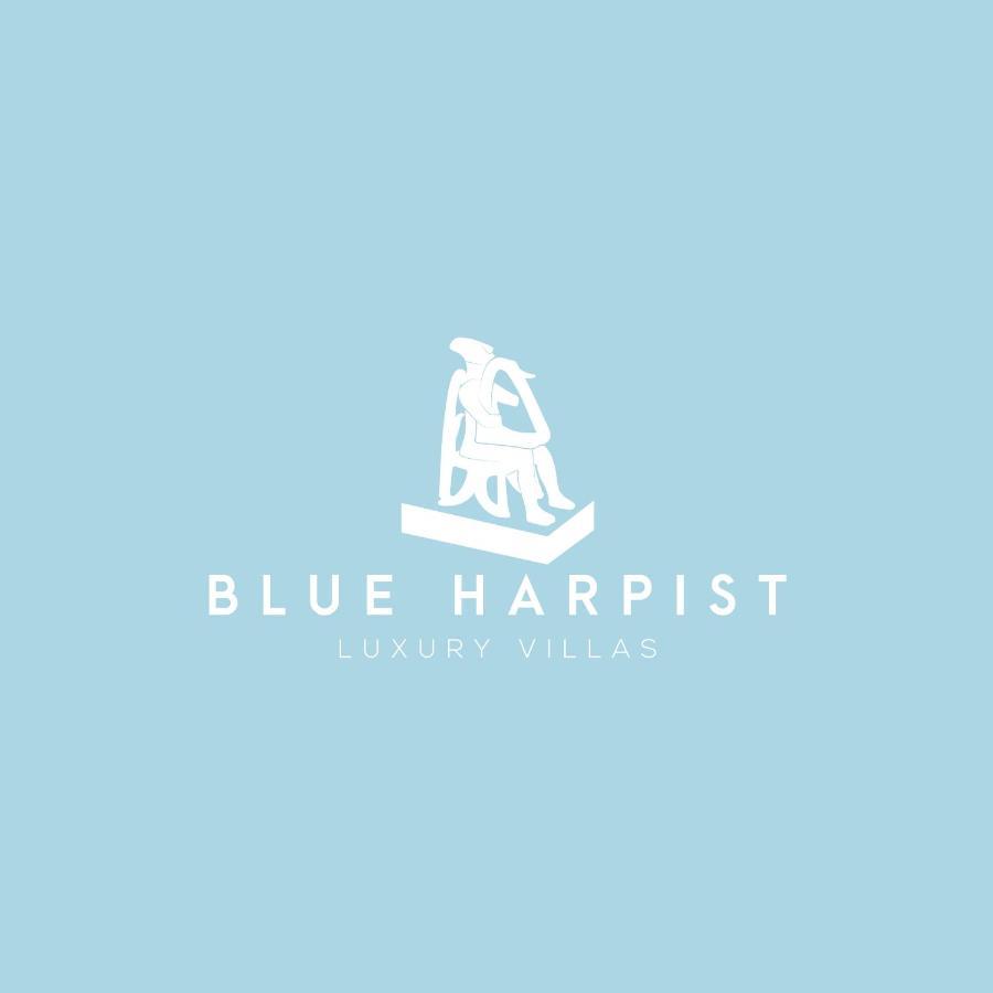 Blue Harpist Villas Koufonisia エクステリア 写真